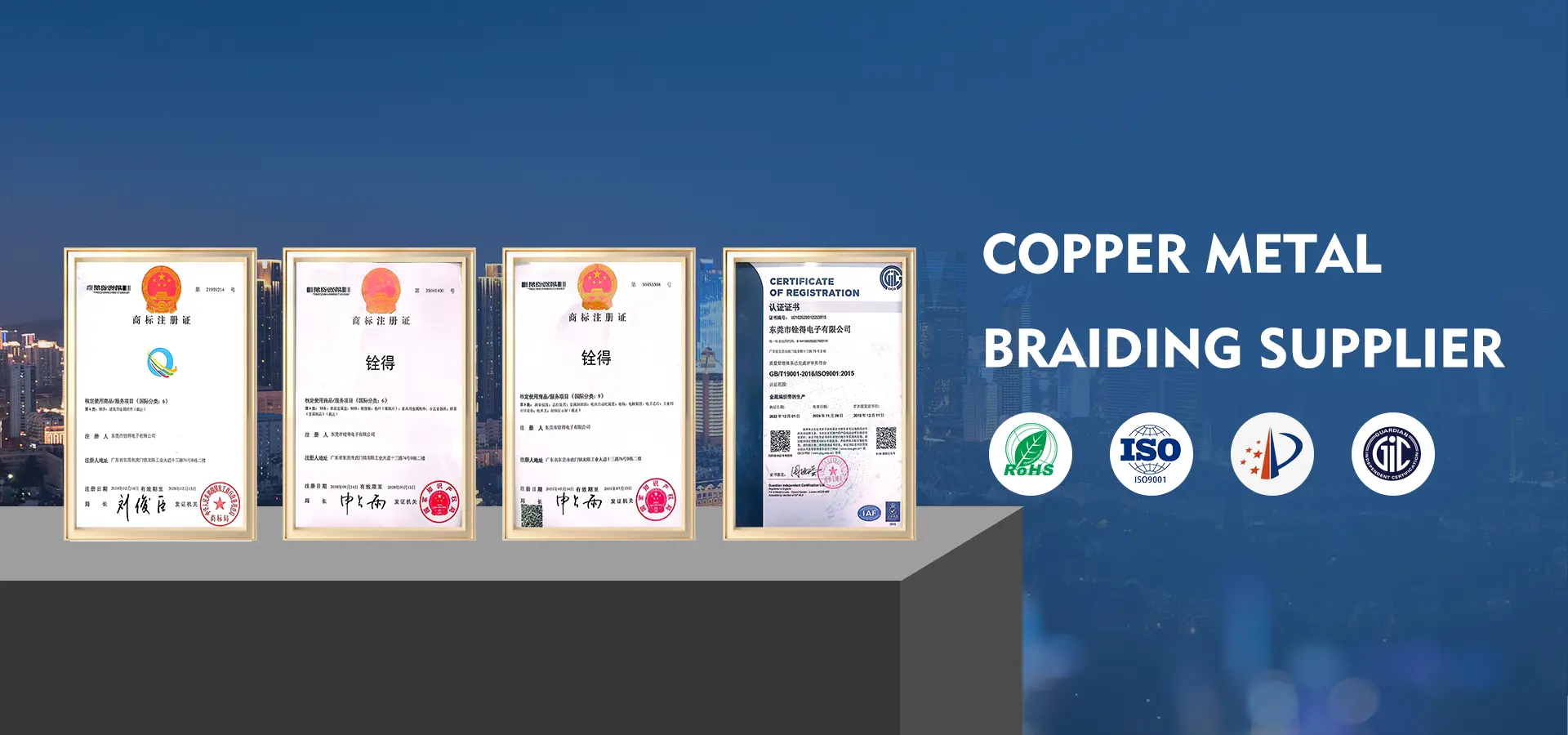 တရုတ်ကြေးနီကျစ်ဆံမြီး